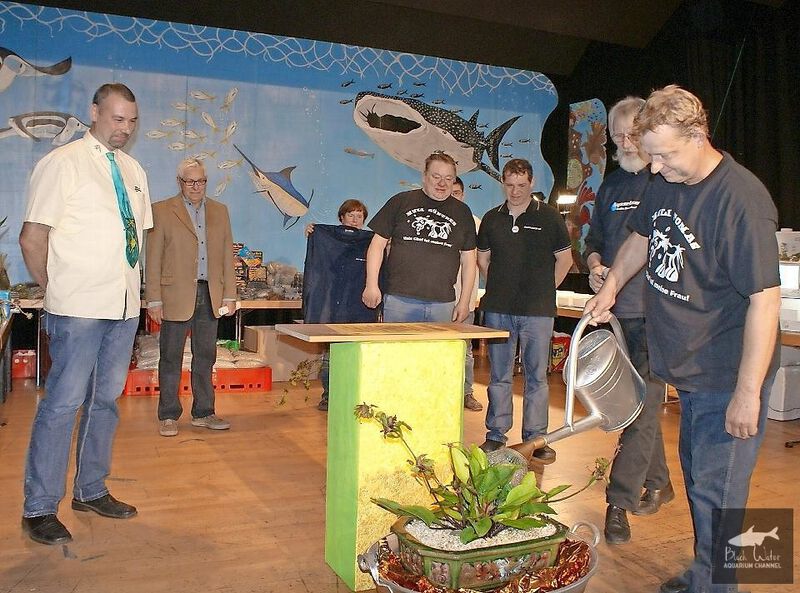 File:Falke.jpg