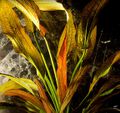 Thumbnail for version as of 12:21, 26 November 2022