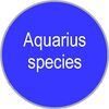 Aquarius species