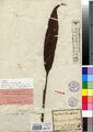 Thumbnail for version as of 09:47, 5 June 2022
